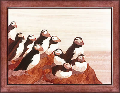 Puffins